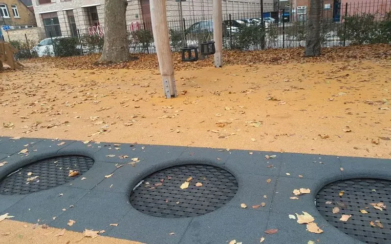 1000040679.jpg