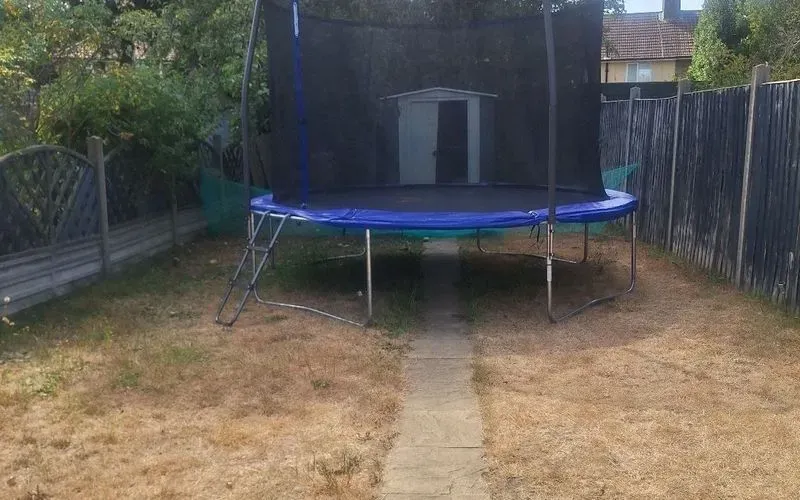 1000132730.jpg