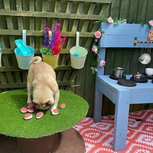 Little Pugs tiney home nursery