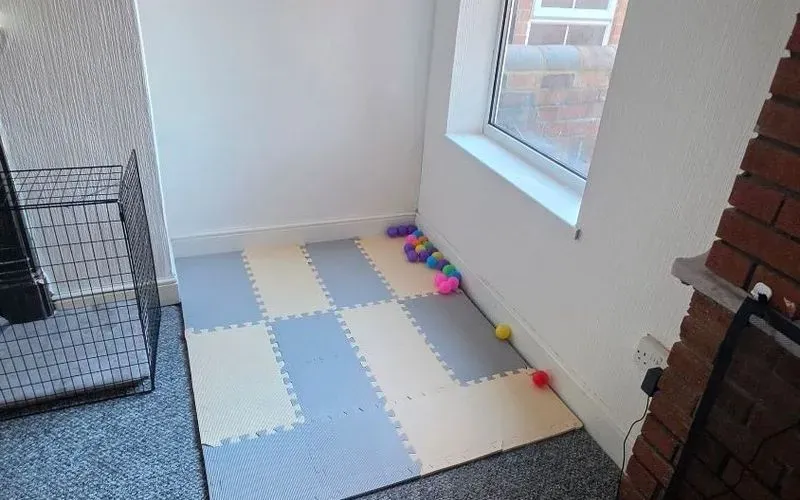 439624.jpg