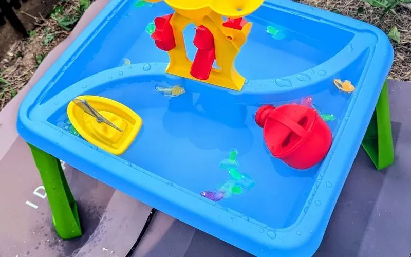 254981.jpg