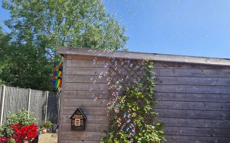 1000075265.jpg