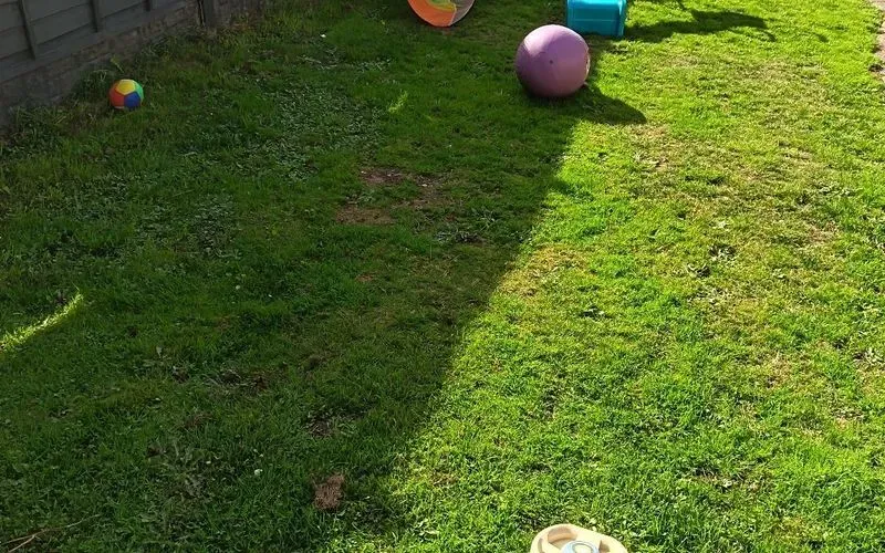 103709.jpg