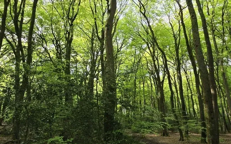 1000145147.jpg