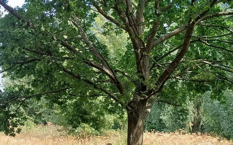 1000074865.jpg