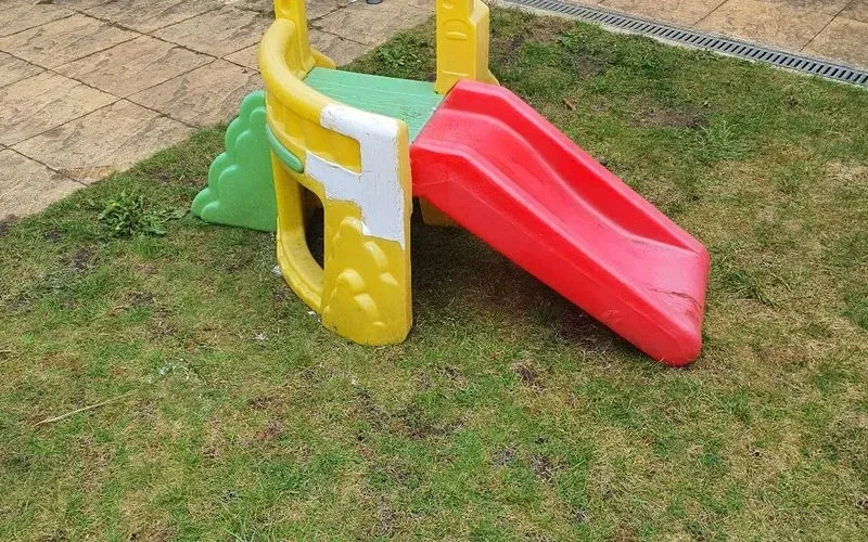 1000169081.jpg