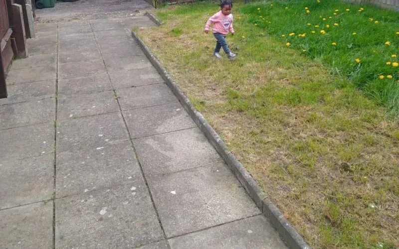 1000126912.jpg