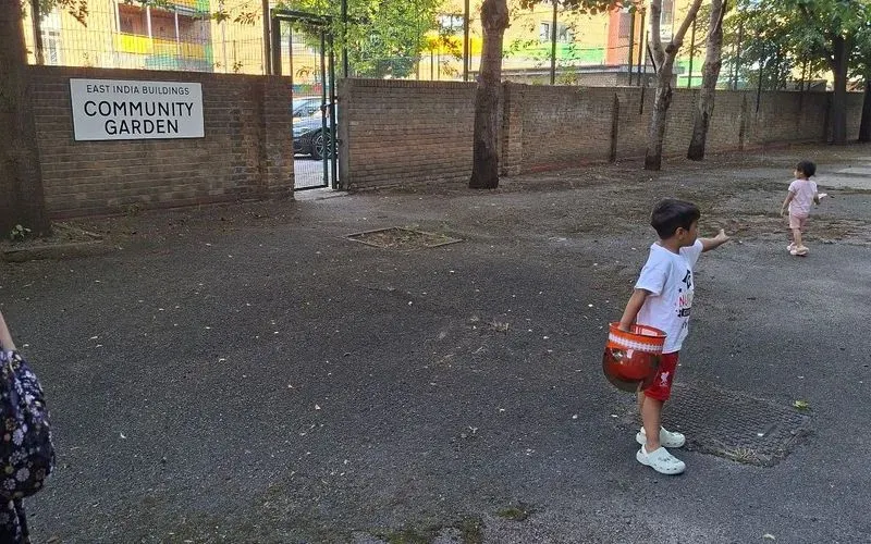 41154.jpg