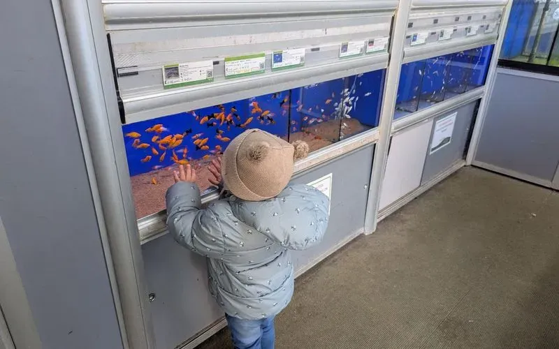 1000023499.jpg