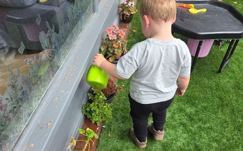 33649.jpg