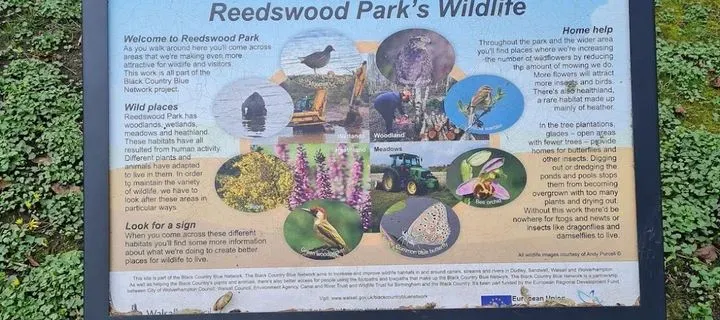 Reedswood park