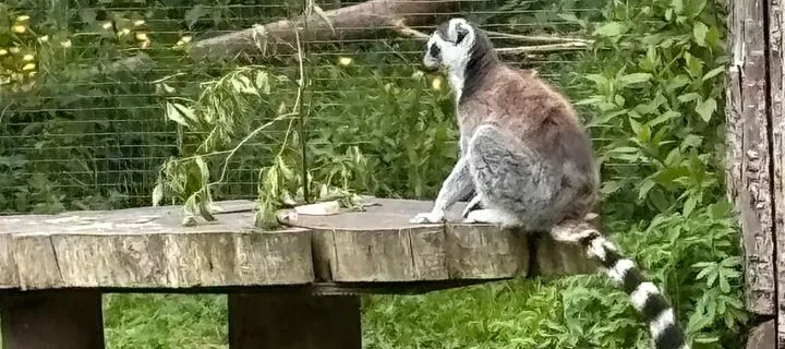 Newquay Zoo