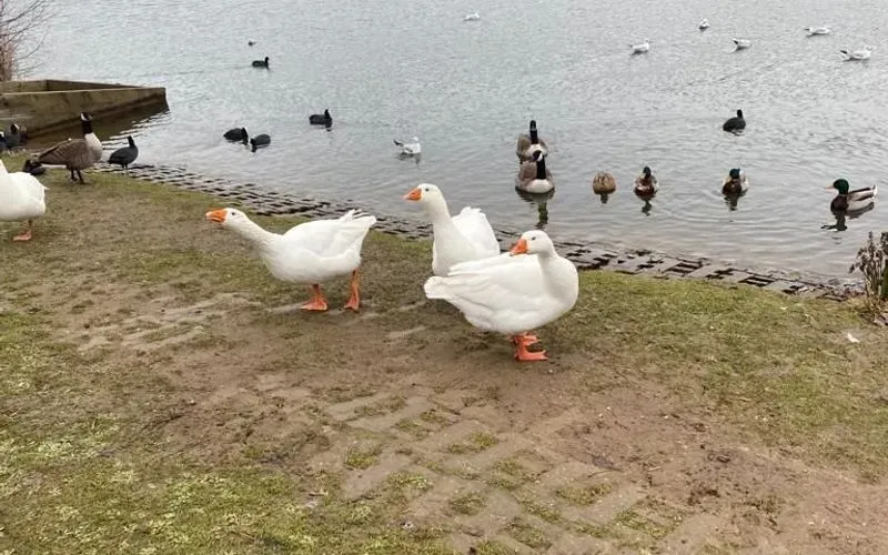 1000013996.jpg