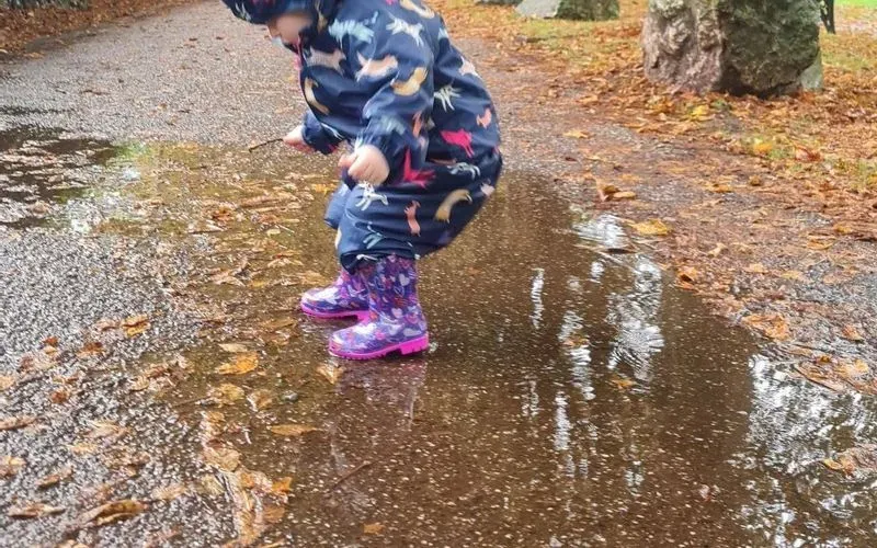 1000011564.jpg