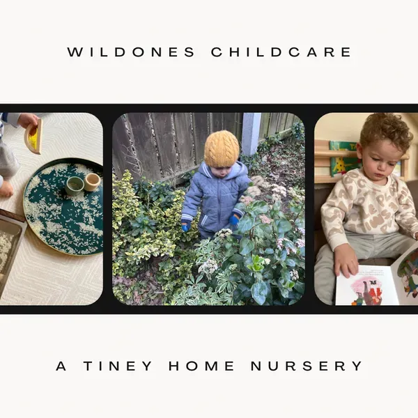 WildOnes Childcare a tiney home nursery
