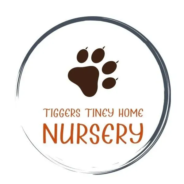 Tiggers tiney home nursery