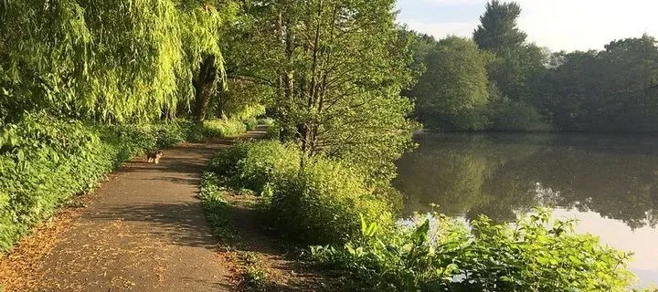 Elmdon park and nature trail