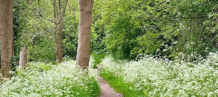 Higher Drive Recreational Ground